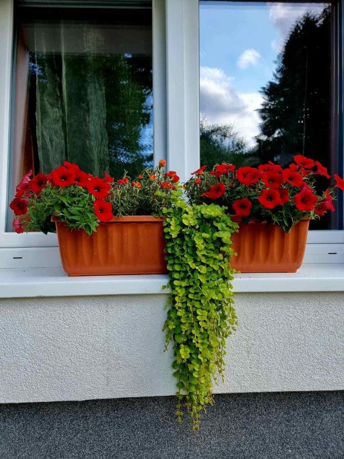 Haus Bierherr Mariazell Exterior foto